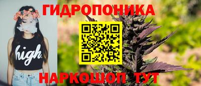 гидропоника Будённовск