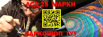 гидропоника Будённовск